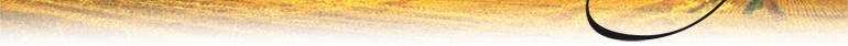 bottomheader